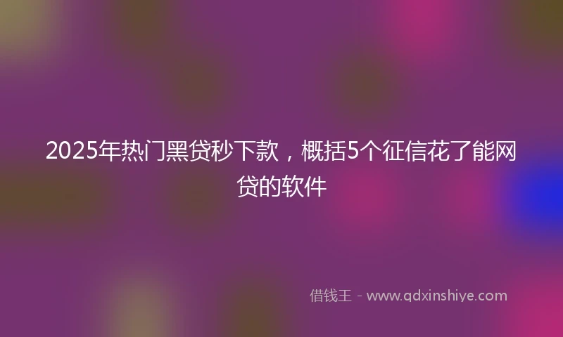 2025年热门黑贷秒下款，概括5个征信花了能网贷的软件