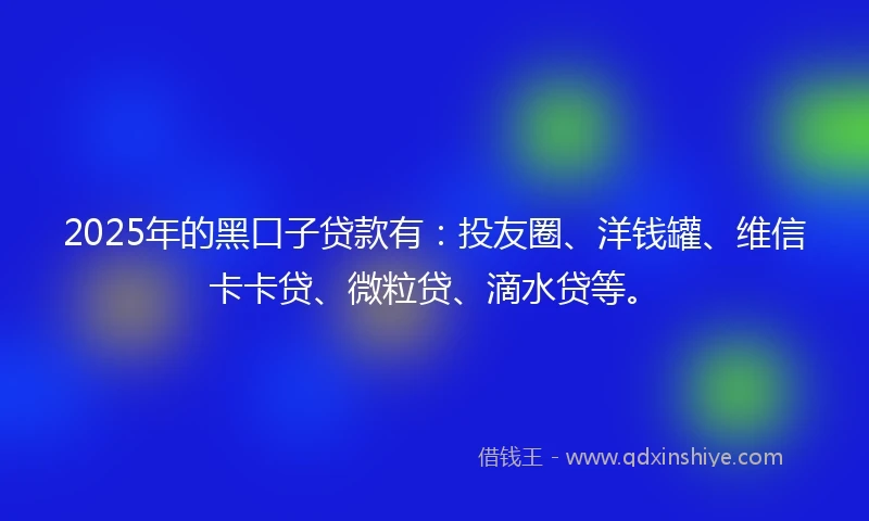 2025年的黑口子贷款有：投友圈、洋钱罐、维信卡卡贷、微粒贷、滴水贷等。