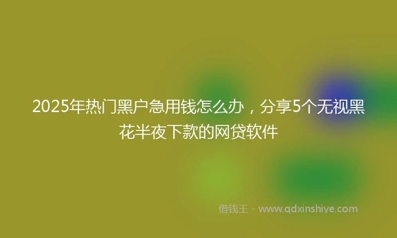 2025年热门黑户急用钱怎么办，分享5个无视黑花半夜下款的网贷软件