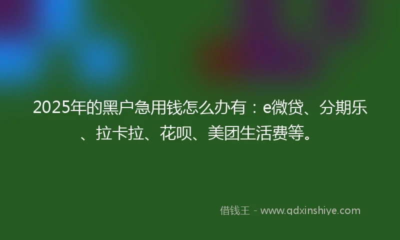 2025年的黑户急用钱怎么办有：e微贷、分期乐、拉卡拉、花呗、美团生活费等。