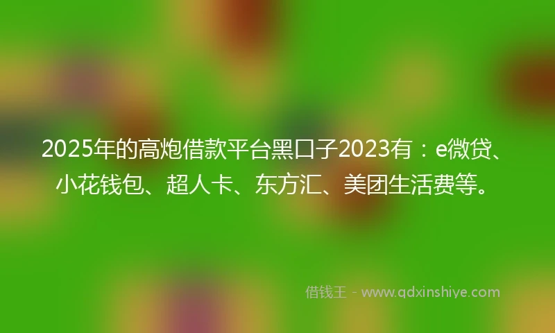 2025年的高炮借款平台黑口子2023有：e微贷、小花钱包、超人卡、东方汇、美团生活费等。
