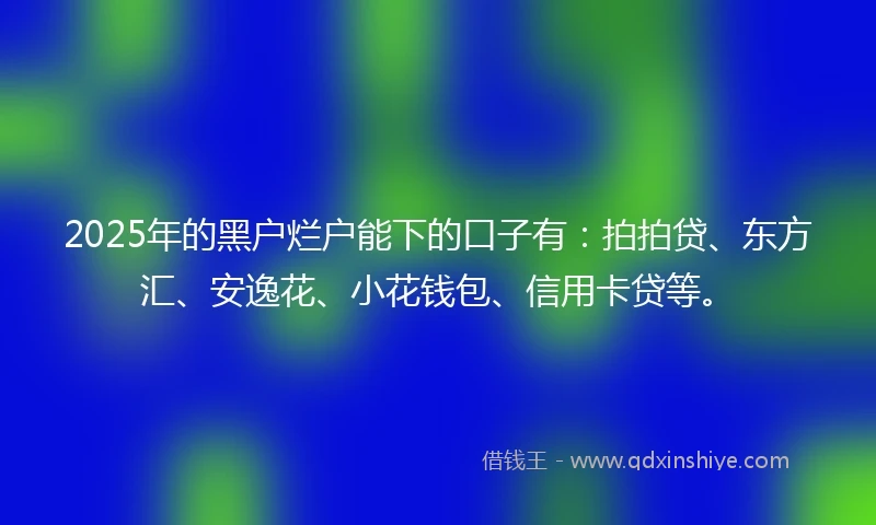 2025年的黑户烂户能下的口子有：拍拍贷、东方汇、安逸花、小花钱包、信用卡贷等。