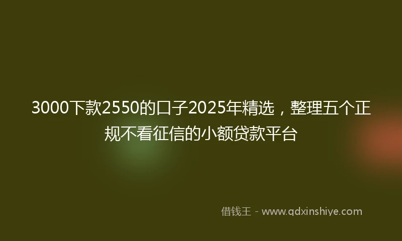 3000下款2550的口子2025年精选，整理五个正规不看征信的小额贷款平台