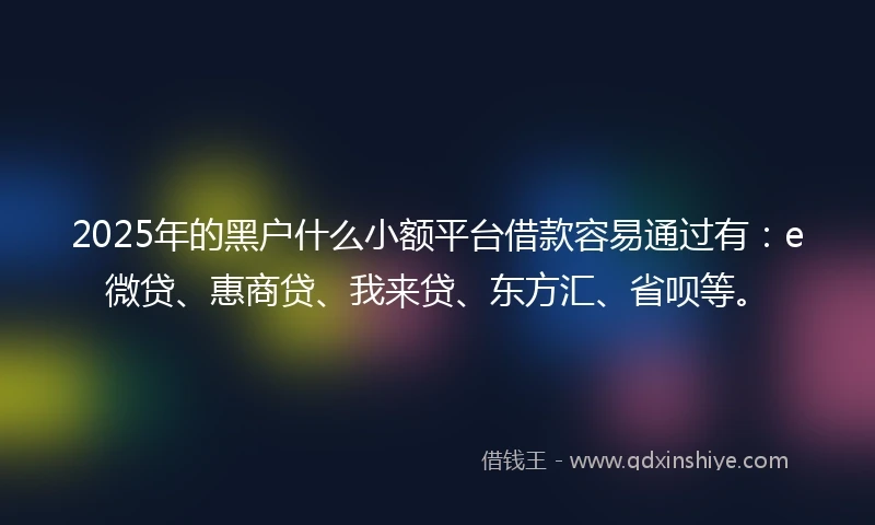 2025年的黑户什么小额平台借款容易通过有：e微贷、惠商贷、我来贷、东方汇、省呗等。