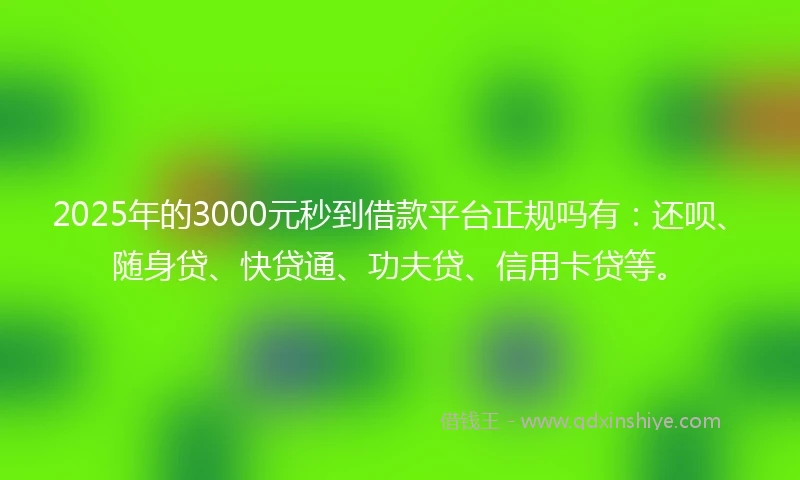 2025年的3000元秒到借款平台正规吗有：还呗、随身贷、快贷通、功夫贷、信用卡贷等。