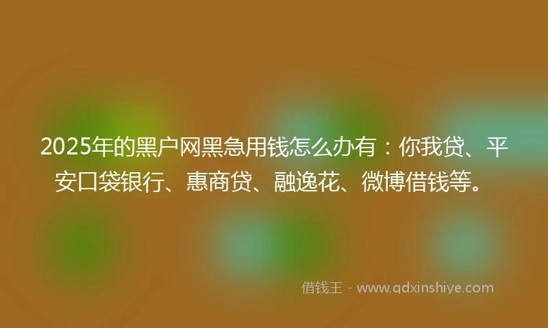 2025年的黑户网黑急用钱怎么办有：你我贷、平安口袋银行、惠商贷、融逸花、微博借钱等。