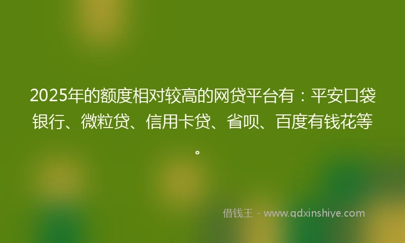 2025年的额度相对较高的网贷平台有：平安口袋银行、微粒贷、信用卡贷、省呗、百度有钱花等。