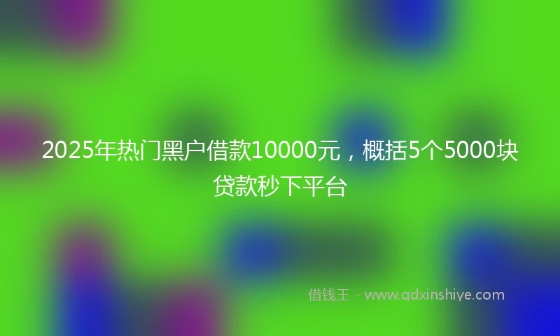2025年热门黑户借款10000元，概括5个5000块贷款秒下平台