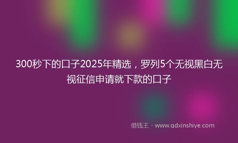 300秒下的口子2025年精选，罗列5个无视黑白无视征信申请就下款的口子