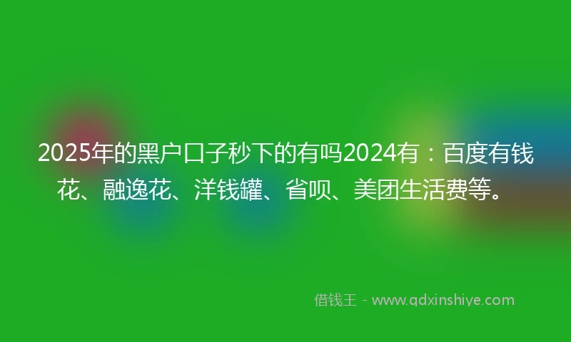 2025年的黑户口子秒下的有吗2024有：百度有钱花、融逸花、洋钱罐、省呗、美团生活费等。