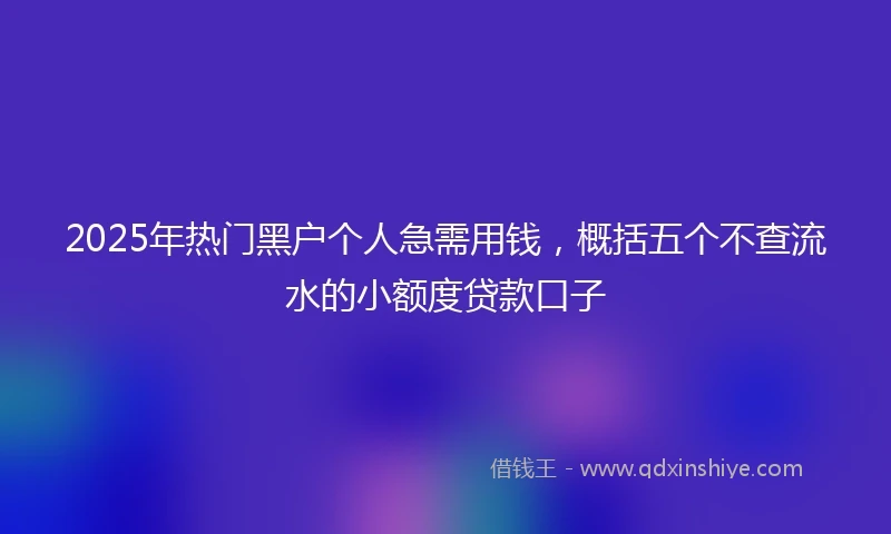 2025年热门黑户个人急需用钱，概括五个不查流水的小额度贷款口子