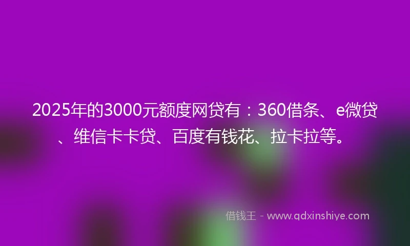 2025年的3000元额度网贷有：360借条、e微贷、维信卡卡贷、百度有钱花、拉卡拉等。