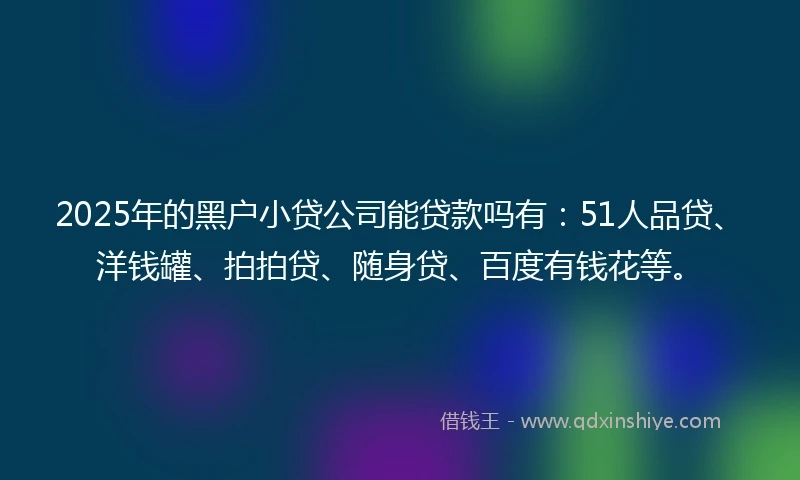 2025年的黑户小贷公司能贷款吗有：51人品贷、洋钱罐、拍拍贷、随身贷、百度有钱花等。