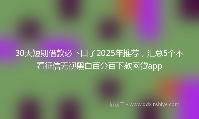 30天短期借款必下口子2025年推荐,汇总5个不看征信无视黑白百分百下款网贷app