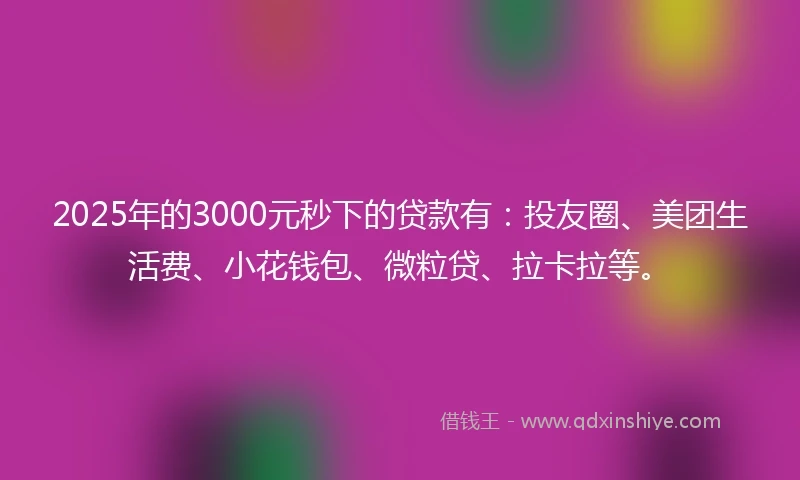 2025年的3000元秒下的贷款有：投友圈、美团生活费、小花钱包、微粒贷、拉卡拉等。