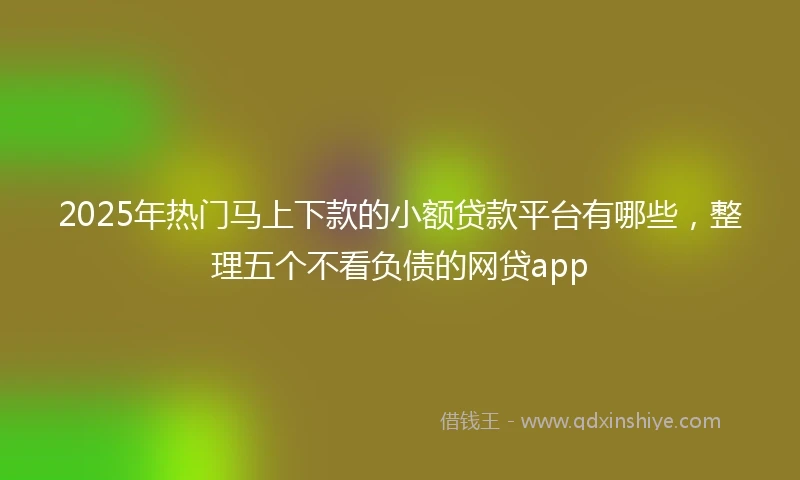 2025年热门马上下款的小额贷款平台有哪些，整理五个不看负债的网贷app