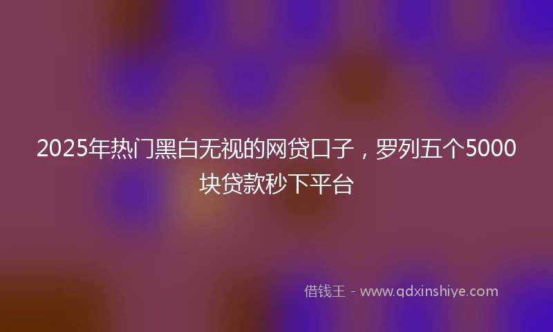 2025年热门黑白无视的网贷口子，罗列五个5000块贷款秒下平台