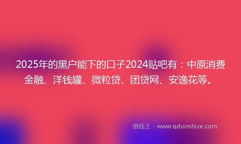 2025年的黑户能下的口子2024贴吧有：中原消费金融、洋钱罐、微粒贷、团贷网、安逸花等。