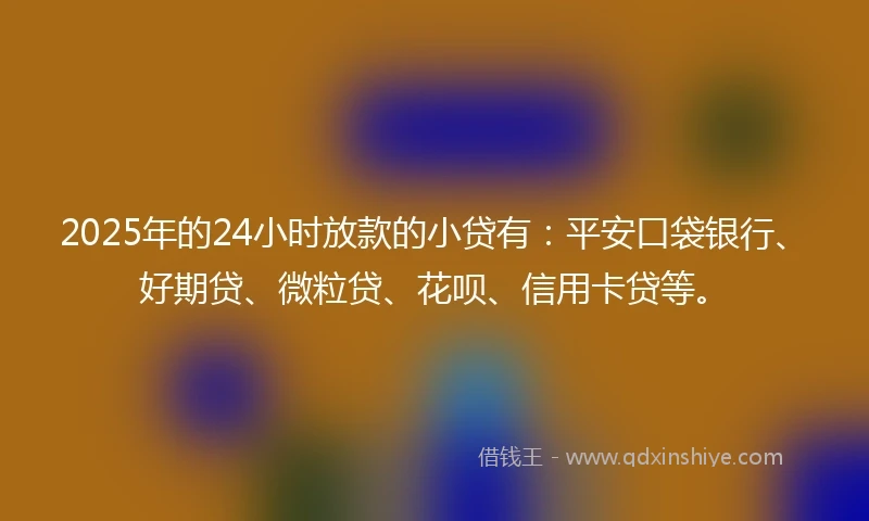 2025年的24小时放款的小贷有：平安口袋银行、好期贷、微粒贷、花呗、信用卡贷等。