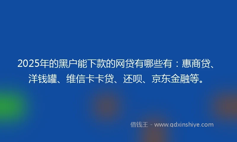 2025年的黑户能下款的网贷有哪些有：惠商贷、洋钱罐、维信卡卡贷、还呗、京东金融等。