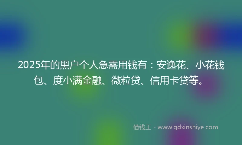 2025年的黑户个人急需用钱有：安逸花、小花钱包、度小满金融、微粒贷、信用卡贷等。