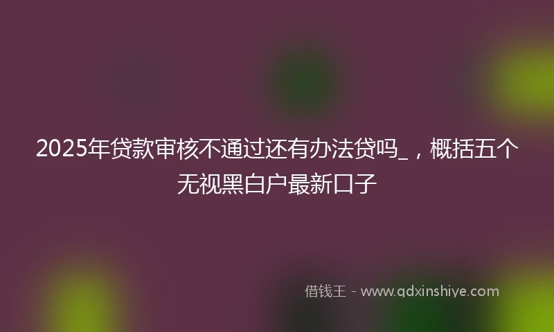 2025年贷款审核不通过还有办法贷吗_，概括五个无视黑白户最新口子
