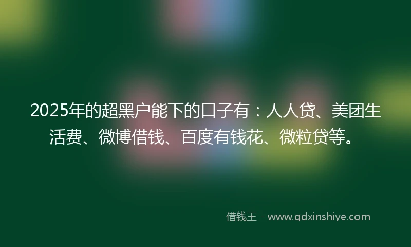 2025年的超黑户能下的口子有：人人贷、美团生活费、微博借钱、百度有钱花、微粒贷等。
