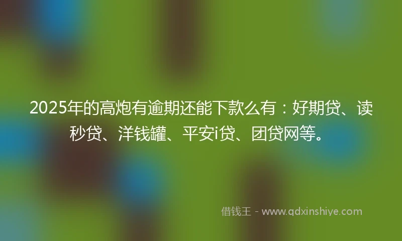 2025年的高炮有逾期还能下款么有：好期贷、读秒贷、洋钱罐、平安i贷、团贷网等。