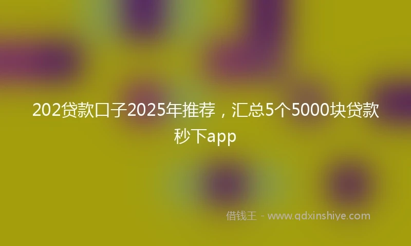 202贷款口子2025年推荐，汇总5个5000块贷款秒下app