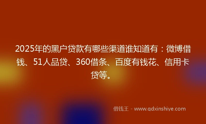 2025年的黑户贷款有哪些渠道谁知道有：微博借钱、51人品贷、360借条、百度有钱花、信用卡贷等。