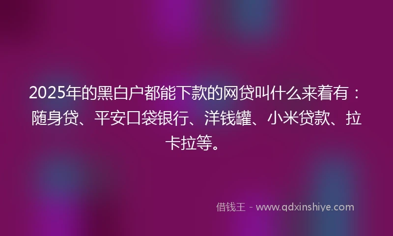 2025年的黑白户都能下款的网贷叫什么来着有：随身贷、平安口袋银行、洋钱罐、小米贷款、拉卡拉等。
