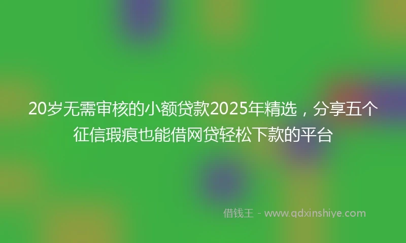 20岁无需审核的小额贷款2025年精选，分享五个征信瑕疵也能借网贷轻松下款的平台