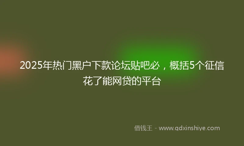 2025年热门黑户下款论坛贴吧必，概括5个征信花了能网贷的平台
