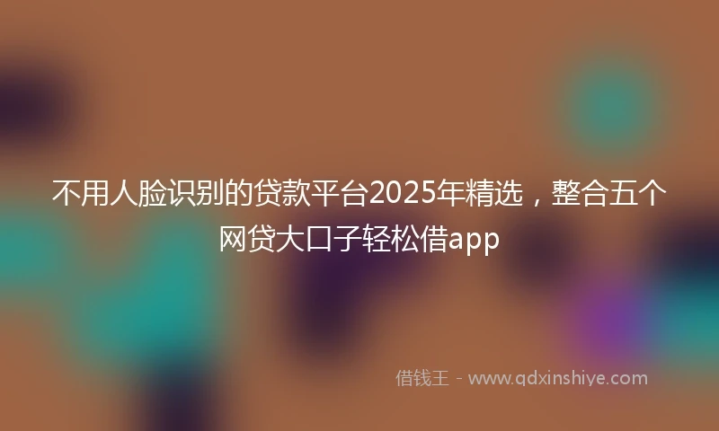 不用人脸识别的贷款平台2025年精选，整合五个网贷大口子轻松借app