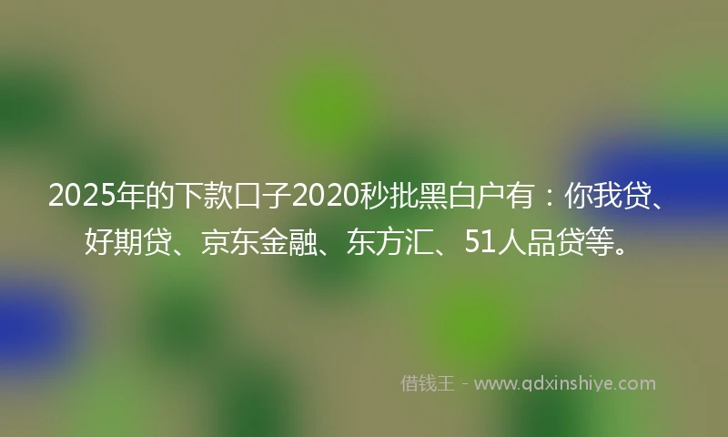 2025年的下款口子2020秒批黑白户有：你我贷、好期贷、京东金融、东方汇、51人品贷等。