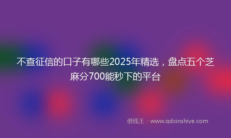 不查征信的口子有哪些2025年精选，盘点五个芝麻分700能秒下的平台