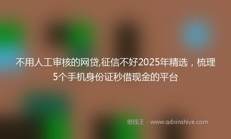 不用人工审核的网贷,征信不好2025年精选，梳理5个手机身份证秒借现金的平台