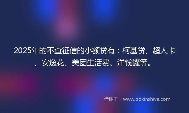 2025年的不查征信的小额贷有：柯基贷、超人卡、安逸花、美团生活费、洋钱罐等。