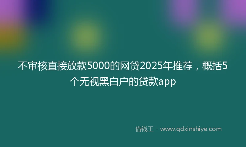 不审核直接放款5000的网贷2025年推荐，概括5个无视黑白户的贷款app