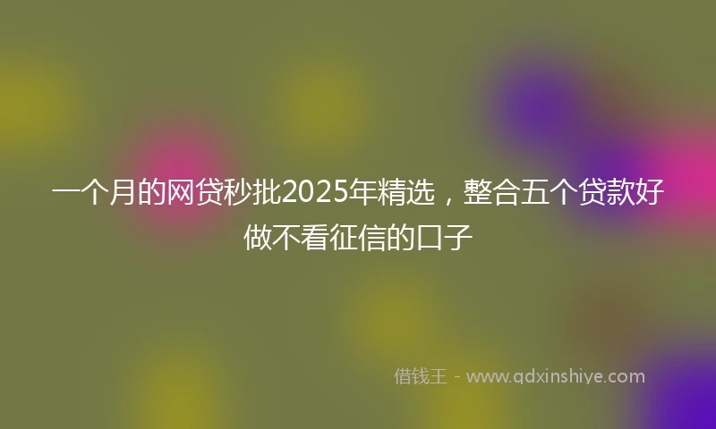 一个月的网贷秒批2025年精选，整合五个贷款好做不看征信的口子