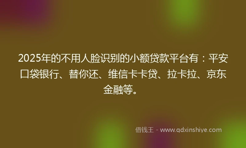 2025年的不用人脸识别的小额贷款平台有：平安口袋银行、替你还、维信卡卡贷、拉卡拉、京东金融等。