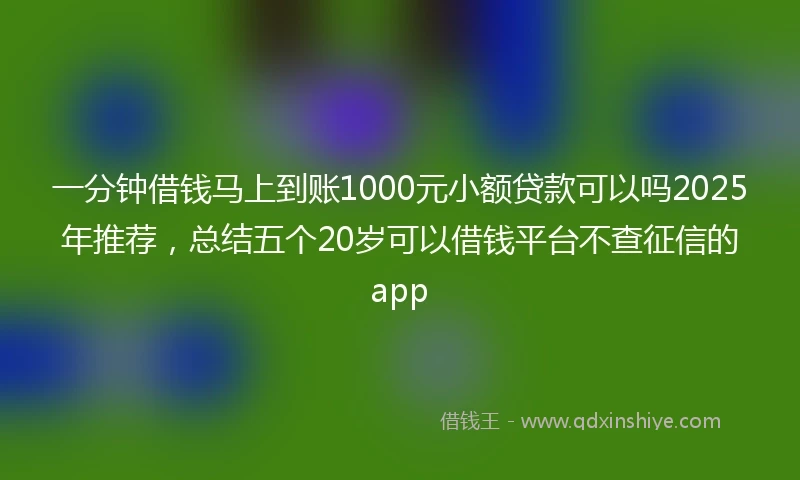 一分钟借钱马上到账1000元小额贷款可以吗2025年推荐，总结五个20岁可以借钱平台不查征信的app
