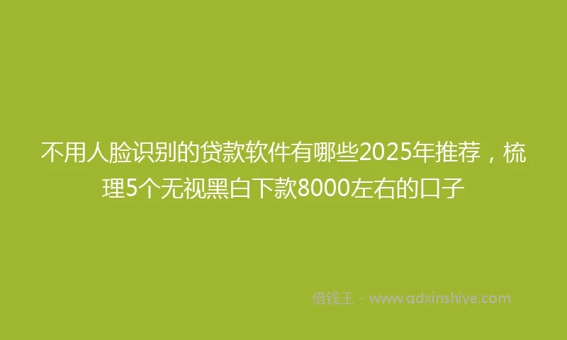 不用人脸识别的贷款软件有哪些2025年推荐，梳理5个无视黑白下款8000左右的口子