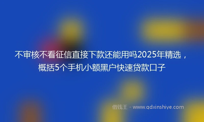 不审核不看征信直接下款还能用吗2025年精选，概括5个手机小额黑户快速贷款口子
