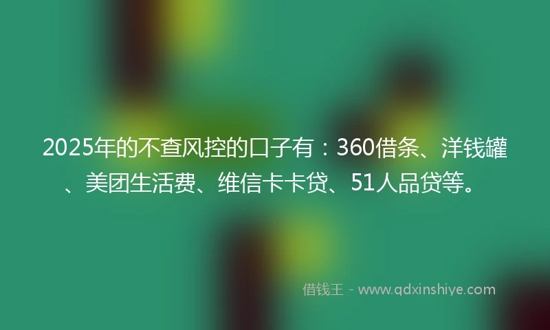 2025年的不查风控的口子有：360借条、洋钱罐、美团生活费、维信卡卡贷、51人品贷等。