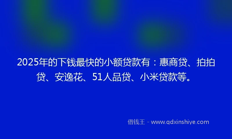 2025年的下钱最快的小额贷款有：惠商贷、拍拍贷、安逸花、51人品贷、小米贷款等。