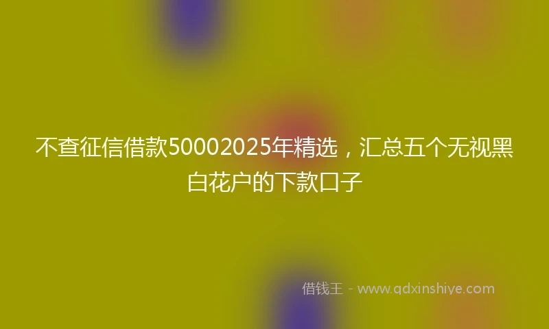不查征信借款50002025年精选，汇总五个无视黑白花户的下款口子
