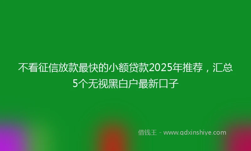 不看征信放款最快的小额贷款2025年推荐，汇总5个无视黑白户最新口子