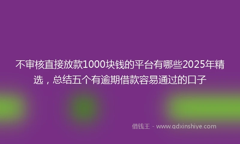 不审核直接放款1000块钱的平台有哪些2025年精选，总结五个有逾期借款容易通过的口子