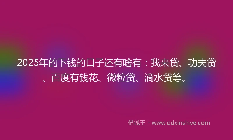 2025年的下钱的口子还有啥有：我来贷、功夫贷、百度有钱花、微粒贷、滴水贷等。